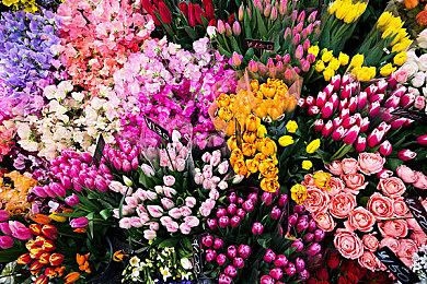 合作战术生存恐怖游戏《无尽寒冬》实机预告